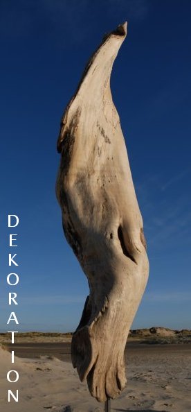 Treibholz Dekoration